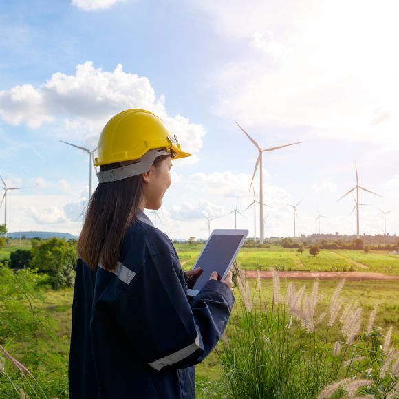 Estudios de impacto ambiental, auditorías medioambientales, consultoría ambiental, gestión de residuos, control de la calidad del aire, agua y suelos, así como asesoramiento en materia de energías renovables. 